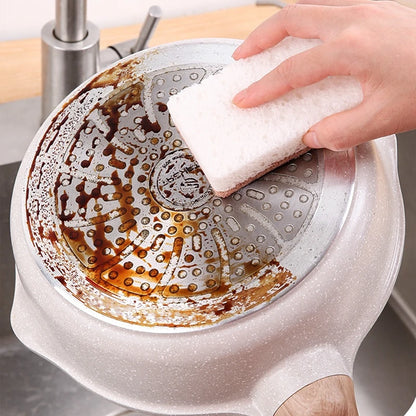 Esponja Natural Ecológica